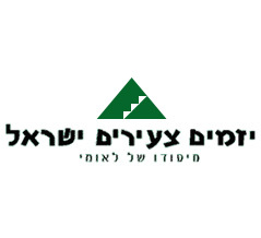 יזמים צעירים