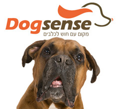 dogsense
