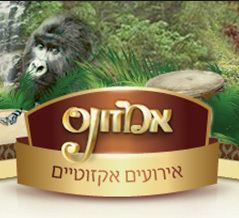 אמזונס - הפקות אירועים